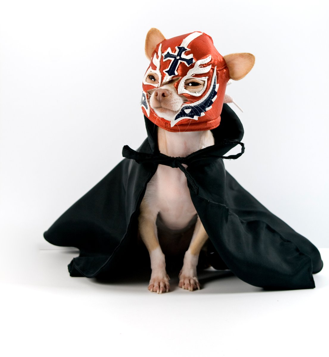 NgsEurope's tweet image. 💥¡BOOM!💥 Explosión de conectividad con nuestro Wonder Ihub4. Este pequeño Hub USB-C de 4 puertos USB 3.0 es todo un gigante. 🚀 Convierte un solo puerto en cuatro rápidamente. Muchos dispositivos y pocos puertos? Problema resuelto!✨ 

#HubUSB #ngs #FreedomAddicts