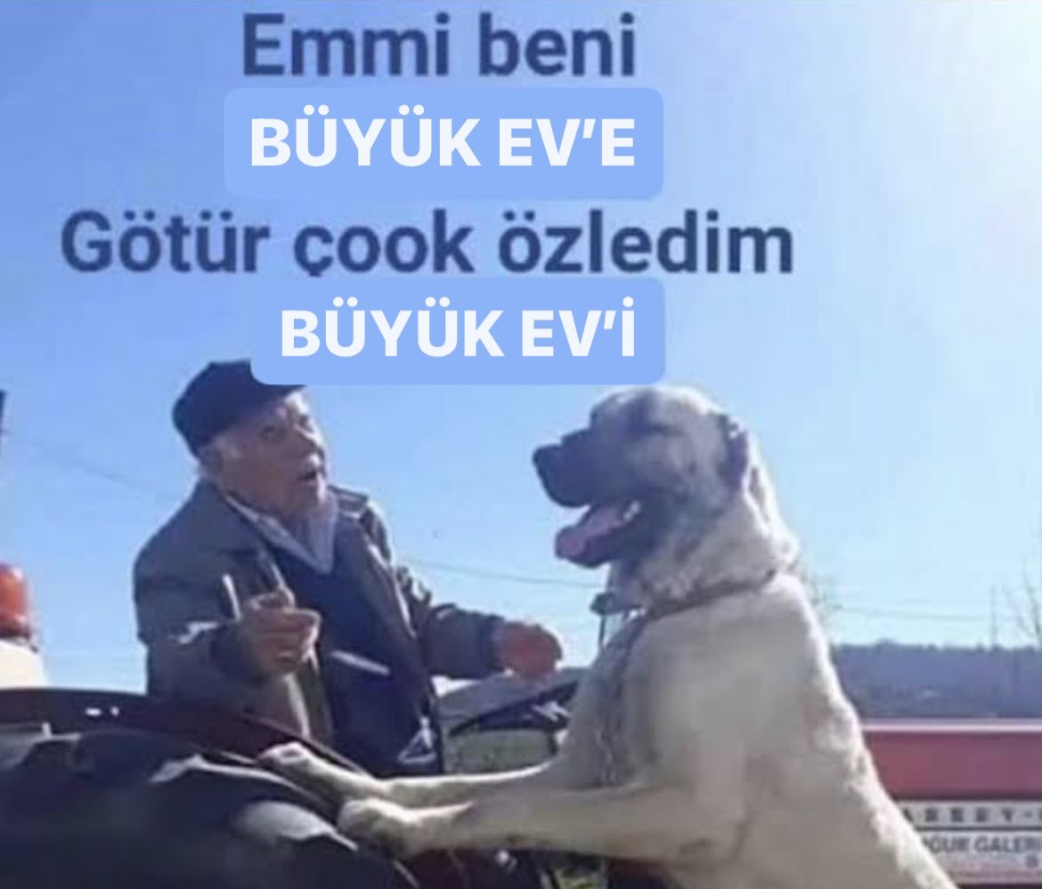 göksu (@chiquitiitta) on Twitter photo 