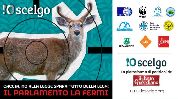 Caccia, no alla legge spara-tutto della Lega: il Parlamento la fermi! FIRMA LA PETIZIONE 👉 ioscelgo.org/petizioni/cacc…

<a href="/fattoquotidiano/">Il Fatto Quotidiano</a> <a href="/AlbMarzocchi/">Alberto Marzocchi</a>