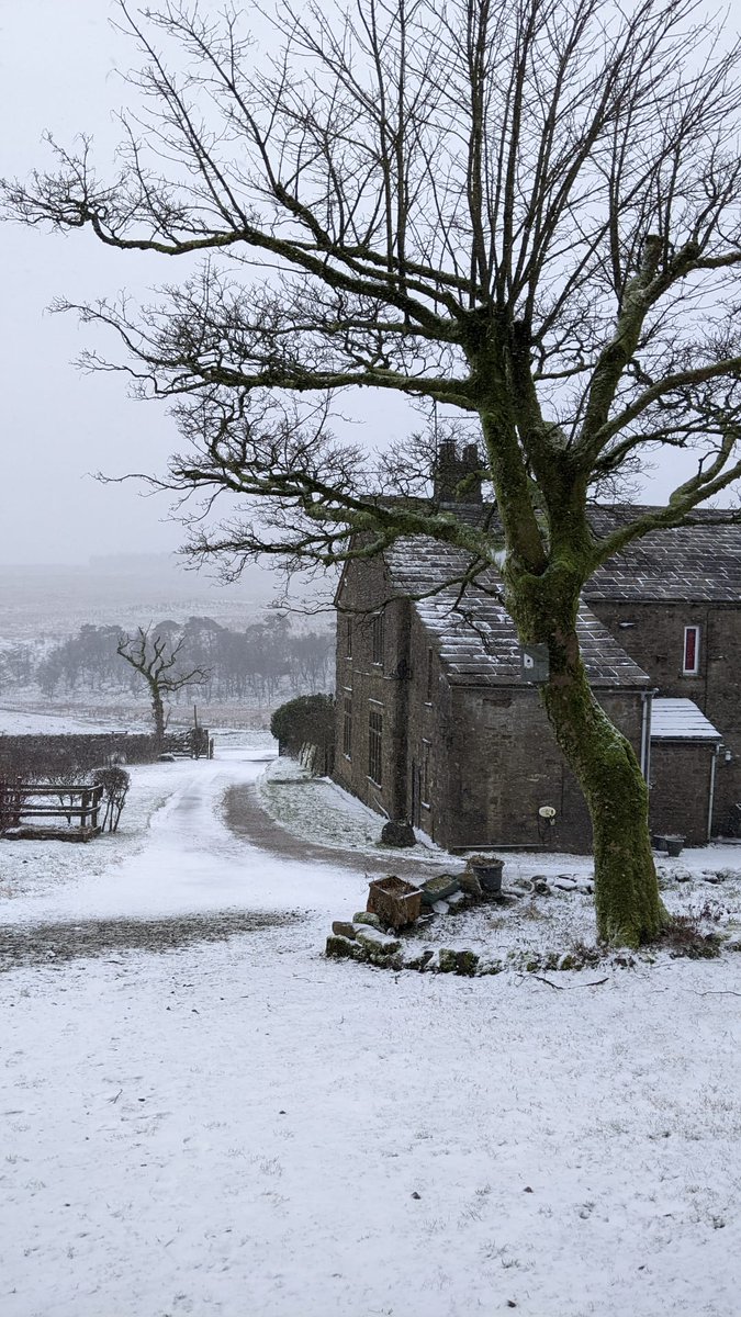 @northyorkswx @juliatetley @DigChrisMyers @OSM_Photography @HighBleanBandB @bezberesford @MikeGeolHorton @AmandaOwen8 @rachelhall58 @Yockgranola @swaledalebirds_ Fairly light at the moment but that's a heavy sky!