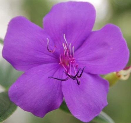 New page on my website about staying well in winter. Have a read and keep the coughs and colds at bay. macclesfieldhomeopath.co.uk/winter-wellness 
#macclesfield #tryhomeopathy #cheshire #winterwellness #homeopathyworksforme