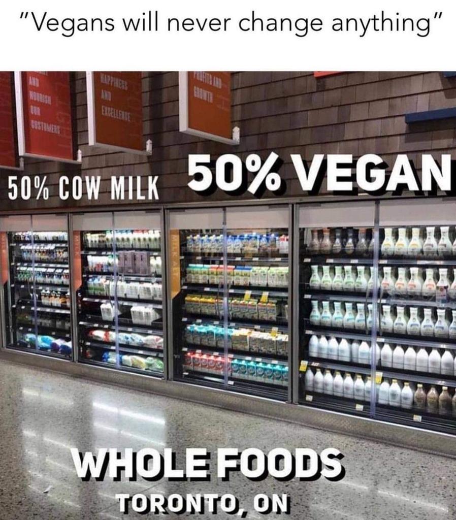Dervilla(v) tweet media