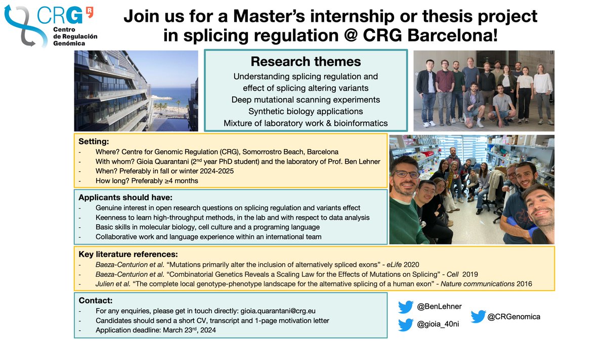 gioia_40ni's tweet photo. Join us at the @BenLehner lab @CRGenomica in Barcelona!🌅 
We're seeking motivated ≥4-month Master's students for thesis/intern positions. 
Explore splicing regulation &amp; effects of splicing-altering variants through deep mutational scanning 🧬🥼 https://t.co/KJtMAlX1bC