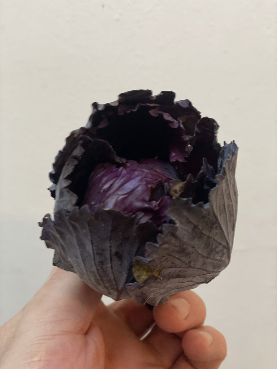 We have plenty of availability tonight for dinner