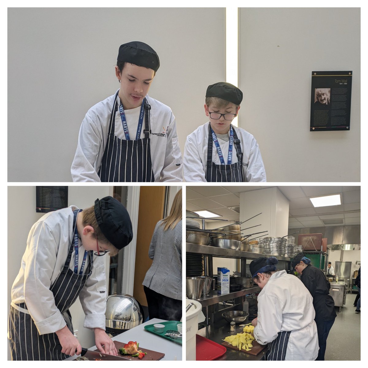 HCFE Student Support tweet media