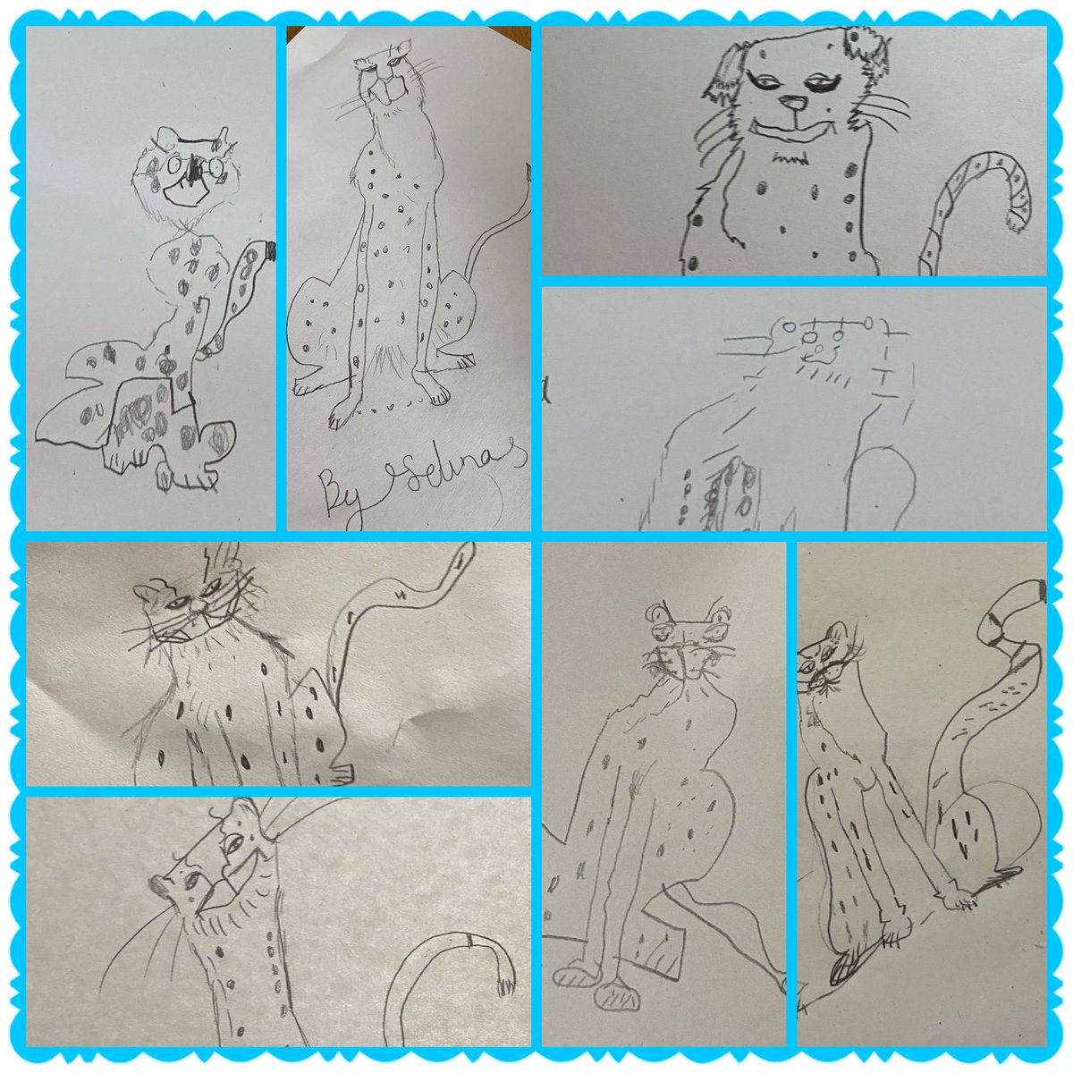 #BBCAuthorsLive We wanted to share our cheetah illustrations! 😄 @airthprimary