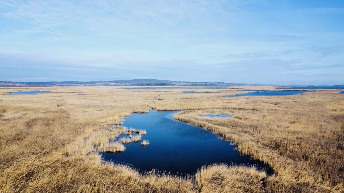 Feeling blue #landscapephotography #Hungary #nature