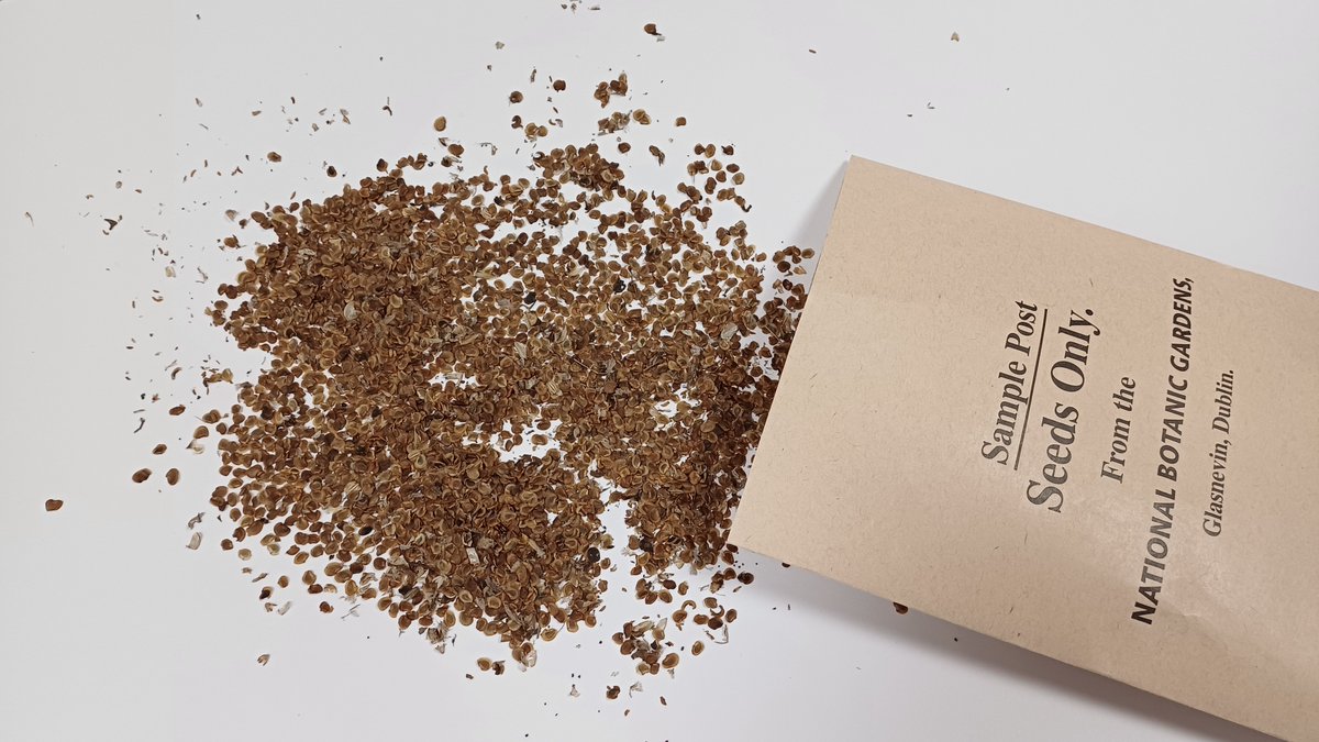 This spring we are delivering a lecture series on the collections based science happening at
<a href="/NBGGlasnevinOPW/">NBG Ireland</a>.

Join us on Weds afternoons to learn how our living &amp; herbarium collections are advancing botanical knowledge &amp; conserving plant biodiversity

botanicgardens.ie/2024/01/24/pla…