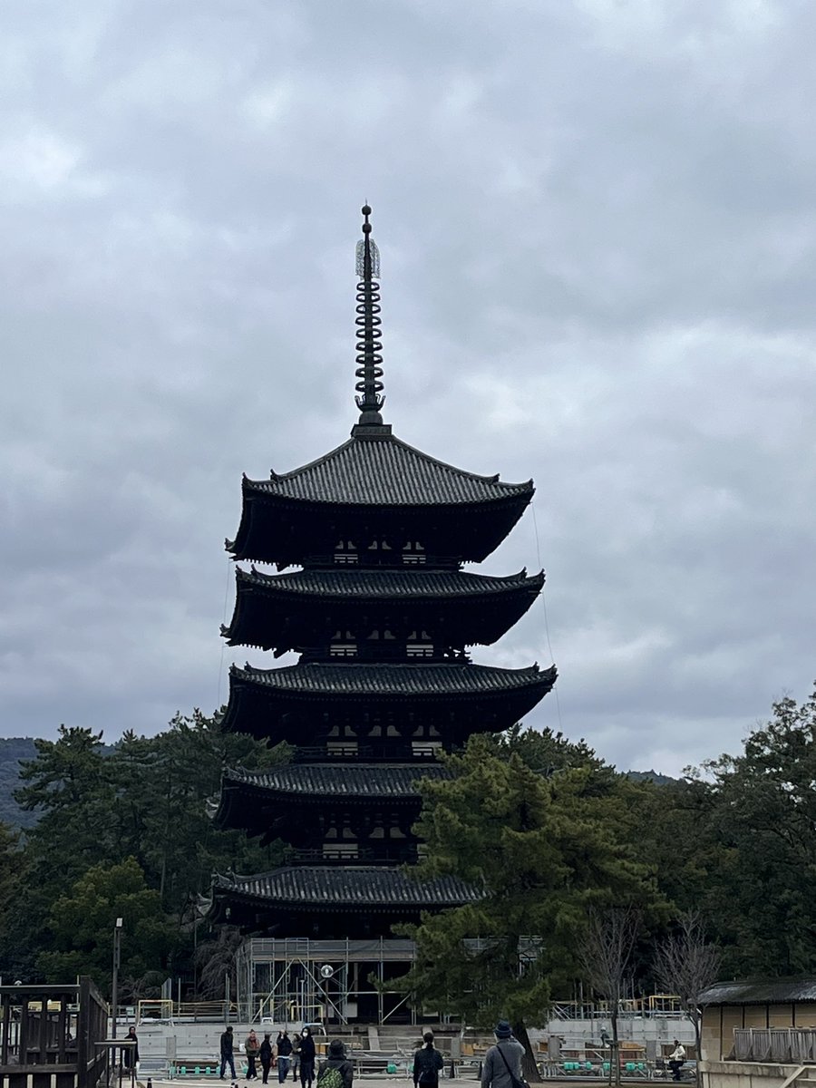 niconico_nicobi's tweet photo. そういう時期なので奈良にきております
今年もお届けできそうです

写真はポストとは無関係ですが興福寺の五重塔に覆いがかかり始めるさま
#ニコ美 https://t.co/nJwAJcNJPe