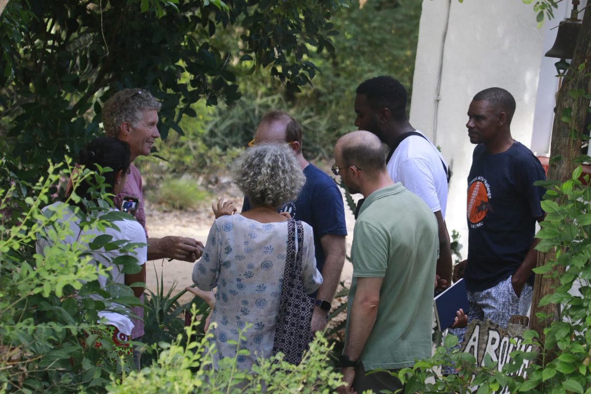 Today during our ##bird ringing session we ringed #tambourine dove and Grey-backed camaroptera. Having guests joining us for this session brings us so much joy. Feel free to join our birdringing every thursday here at #mwamba centre, Watamu.
#birds 
#conservation
#creationcare