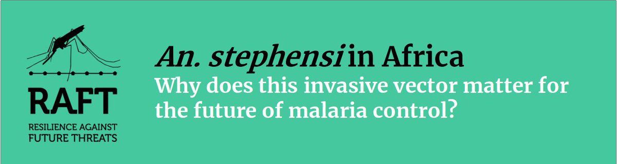 LSHTM_RAFT's tweet photo. Discover some key informations on  Anopheles stephensi, an invasive dangerous malaria vector in Africa, by @LSHTM_RAFT members.
3 actions to take:
- Discard all useless containers
- Use repellents outside
- Sleep under bed nets

https://t.co/dv1qQT8b1v
https://t.co/nzoxSwoYqh https://t.co/0DmDk3WToC