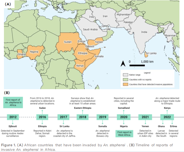 LSHTM_RAFT's tweet photo. Discover some key informations on  Anopheles stephensi, an invasive dangerous malaria vector in Africa, by @LSHTM_RAFT members.
3 actions to take:
- Discard all useless containers
- Use repellents outside
- Sleep under bed nets

https://t.co/dv1qQT8b1v
https://t.co/nzoxSwoYqh https://t.co/0DmDk3WToC