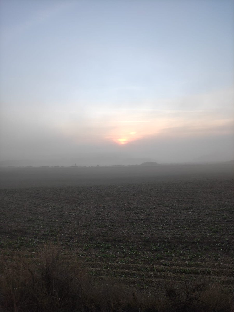 Amanecer con niebla en Piedratajada 🌫️

📸 José Manuel Navarro

#EstaEsMiTierraATV #fotodeldía <a href="/aragontv/">Aragón TV</a>
