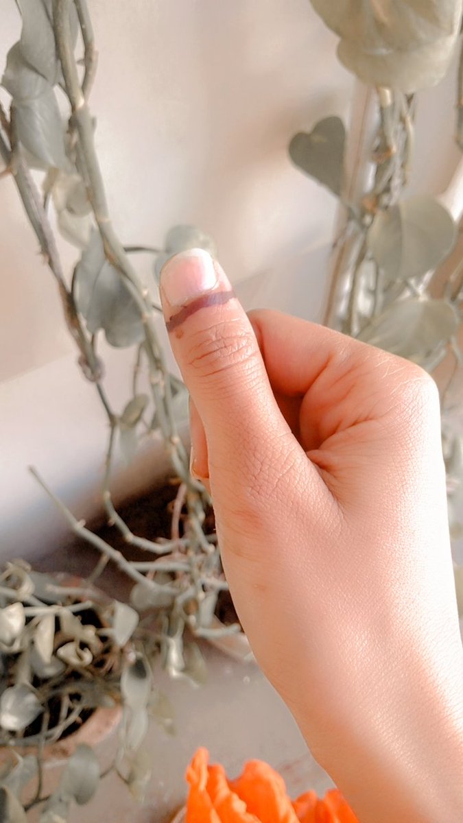 MirzaAmna532's tweet image. نصر من اللہ و فتح قریب ! #VoteToSaveDemocracy #GeneralElectionN0W