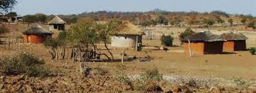 The Masvingo Centre for Research, Advocacy and Development (MACRAD) Trust has called on the government to stop the ongoing summary removal of people accused of being irregularly settled on State land. The evictions, dubbed 'Operation Order No to Land Barons'... 1/2
