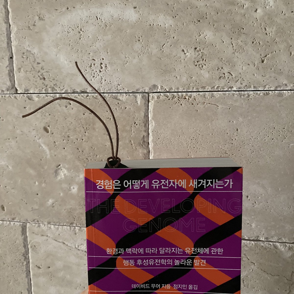 tamminft's tweet photo. 아낌없이 주는 WUB 🫸🏻🤎🫷🏻 https://t.co/O5PNE2uCmZ