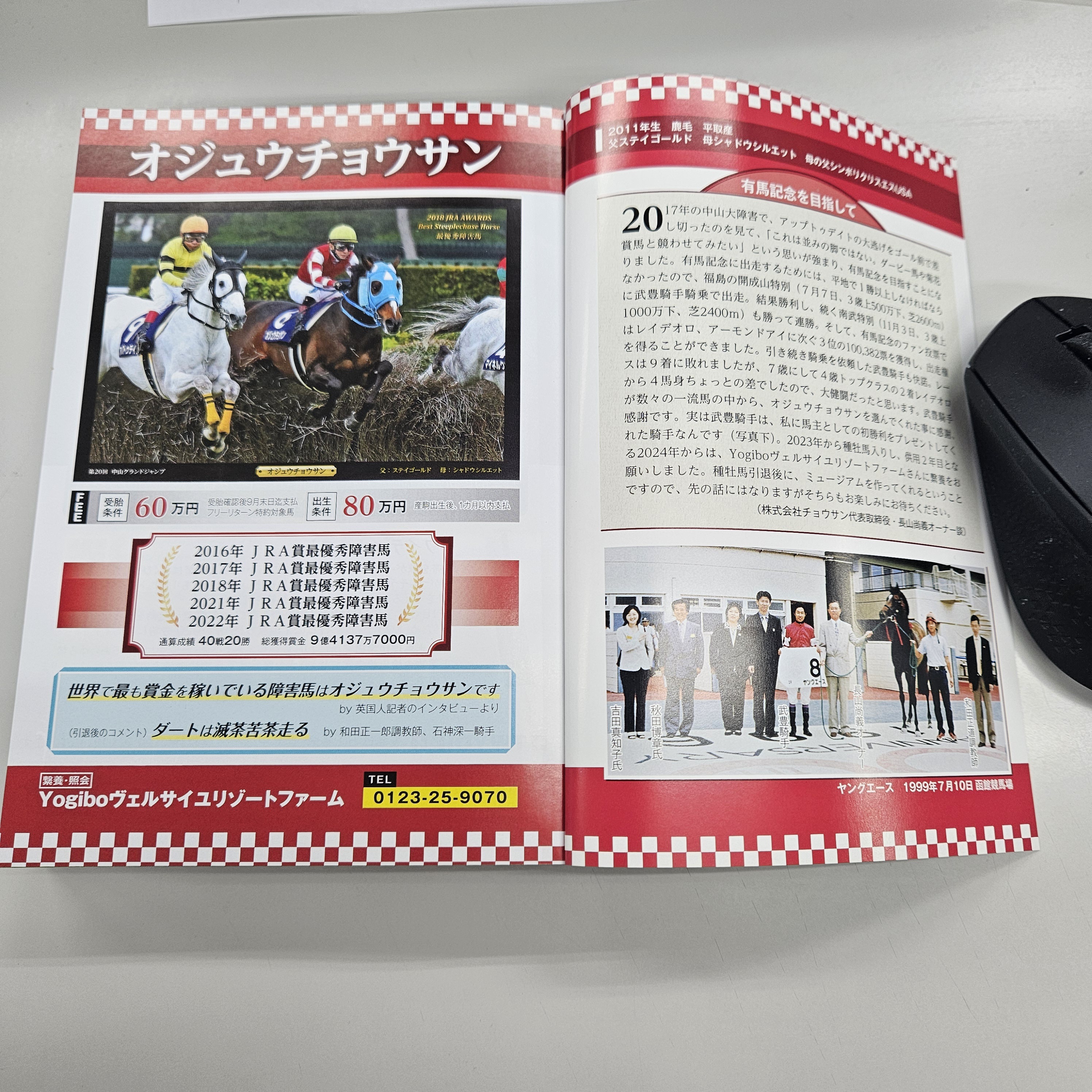 【希少】スタリオン・レヴュー 1991 vol.19 サラブレッド血統センター c87fd8ec91327b221bacafd3f9fcc8