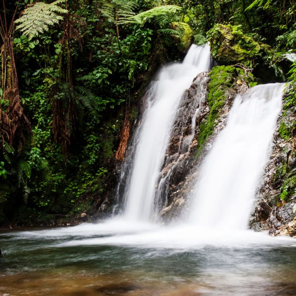 Get ready to explore the wonders of Uganda's diverse landscapes - from  the lush greenery of Bwindi Impenetrable Forest to the tranquil waters  of Lake Victoria. Start your journey today! #UgandaAdventures  #TravelGoals