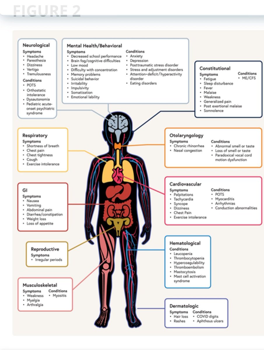 ❗️There're paediatrians and other so-called experts whose professional licences should be revoked for putting our children in harm's way of an experimental herdimmunity strategy, we warned for, the mounting evidence 👇

❗️Postacute Sequelae of SARS-CoV-2 in Children❗️ #LongCovid