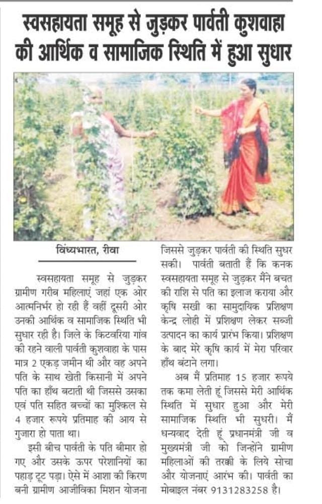 CeozpRewa's tweet photo. स्वसहायता समूह से जुड़कर पार्वती कुशवाहा की #सफलता_की_कहानी
#JansamparkMP
https://t.co/B92sBqyhWC https://t.co/R7ODMHuZBk