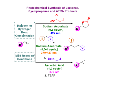 Kokotos CG Research Group (@kokotoscg) on Twitter photo Check out our latest open access contribution in <a href="/ChemEurJ/">Chemistry</a>! A great collaboration with Renaud group! Congrats to Marie, <a href="/BatsikaChara/">CS Batsika</a>, <a href="/nikosnikitas0/">nikosnikitas</a>, <a href="/nt23dc/">Nicholas Tappin</a> and Iro! Many thanks to <a href="/ELIDEK_HFRI/">Hellenic Foundation for Research & Innovation-HFRI</a>, <a href="/uoaofficial/">University of Athens</a>, SNSF and BernUni for funding!
…mistry-europe.onlinelibrary.wiley.com/doi/10.1002/ch… Check out our latest open access contribution in <a href="/ChemEurJ/">Chemistry</a>! A great collaboration with Renaud group! Congrats to Marie, <a href="/BatsikaChara/">CS Batsika</a>, <a href="/nikosnikitas0/">nikosnikitas</a>, <a href="/nt23dc/">Nicholas Tappin</a> and Iro! Many thanks to <a href="/ELIDEK_HFRI/">Hellenic Foundation for Research & Innovation-HFRI</a>, <a href="/uoaofficial/">University of Athens</a>, SNSF and BernUni for funding!
…mistry-europe.onlinelibrary.wiley.com/doi/10.1002/ch…