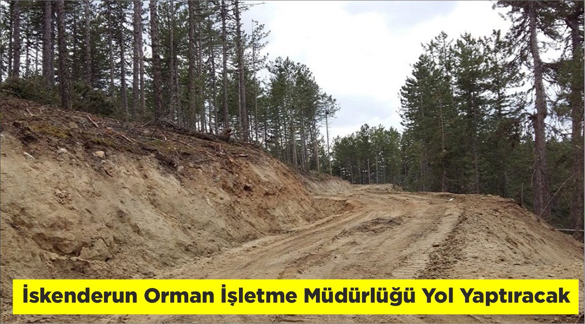 YGazetem's tweet photo. İskenderun Orman İşletme Müdürlüğü Yol Yaptıracak 

https://t.co/WiPOaYIhwe

#ilangovtr https://t.co/lmdT2YOltg