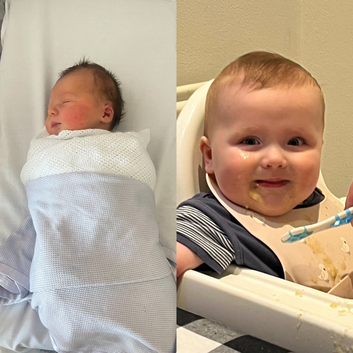 And just like that…you’re six months old.
What a hilarious, sweet, loud, cuddly, messy and loving boy you are.
We love you more than life itself.
Can’t wait to keep watching you grow.

Love you, Noah Bean!