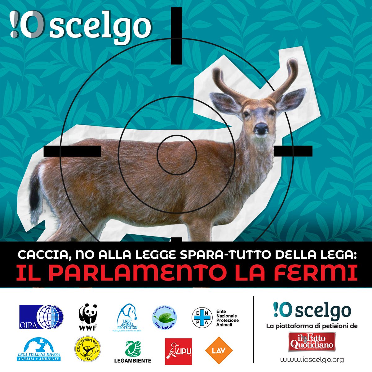 𝐂𝐚𝐜𝐜𝐢𝐚, 𝐧𝐨 𝐚𝐥𝐥𝐚 𝐥𝐞𝐠𝐠𝐞 𝐬𝐩𝐚𝐫𝐚-𝐭𝐮𝐭𝐭𝐨 𝐝𝐞𝐥𝐥𝐚 𝐋𝐞𝐠𝐚: 𝐢𝐥 𝐏𝐚𝐫𝐥𝐚𝐦𝐞𝐧𝐭𝐨 𝐥𝐚 𝐟𝐞𝐫𝐦𝐢
Firma la petizione del Fatto Quotidiano 
🖊️ilfat.to/3SzBLsZ 

#NoCaccia <a href="/ioscelgoorg/">Io Scelgo</a> #fattoquotidiano