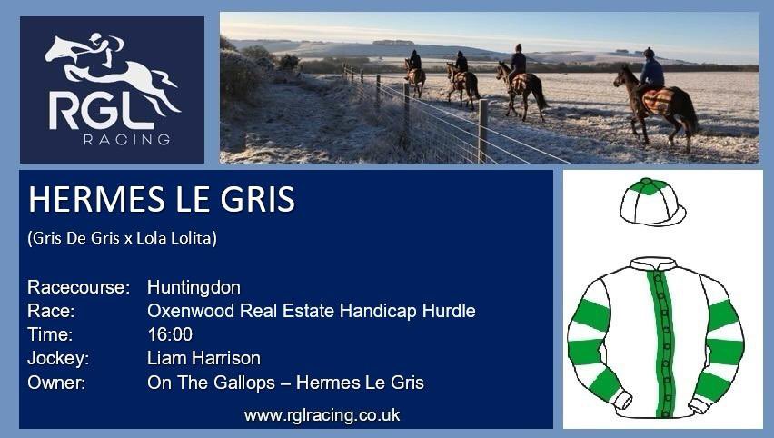 1 runner for the team today! Hermes le Gris heads to @Huntingdon_Race @LiamHarrisonNH rides! Best of luck to @OTG_Racing #rglracing
