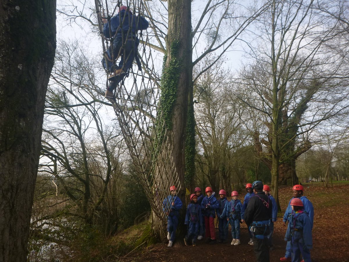 East Oxford Primary tweet media