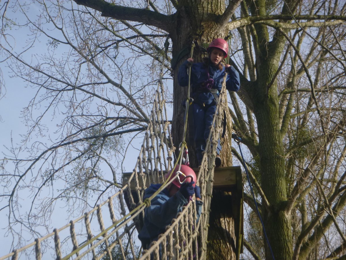 East Oxford Primary tweet media