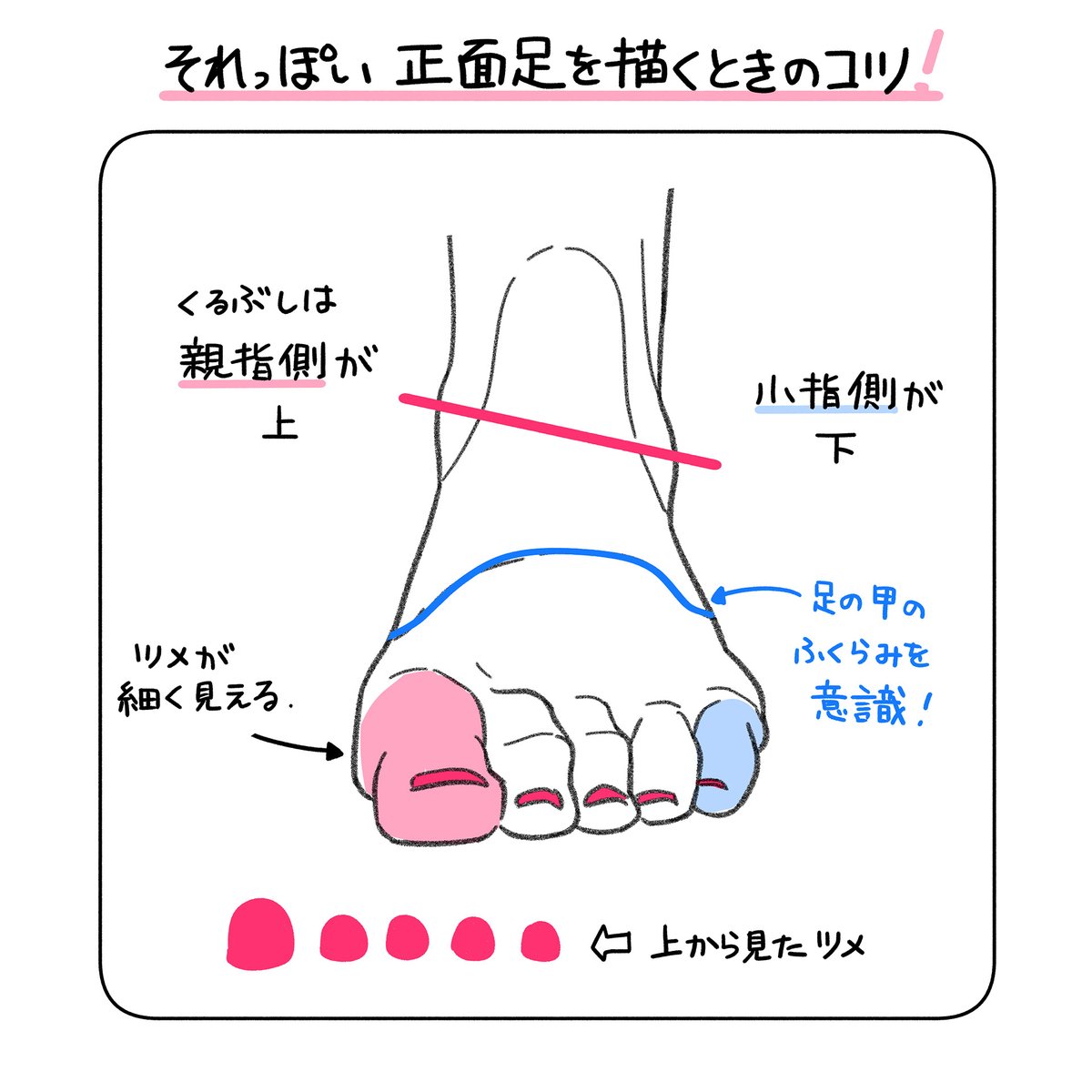 それっぽい正面足を描くときのコツ!
参考にしてみてね💡 