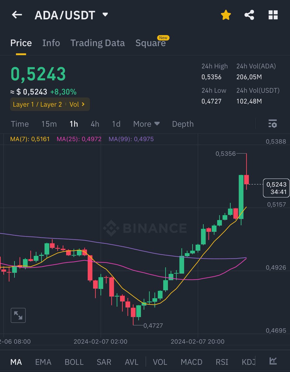 CardanoFeed's tweet photo. 🔥 BREAKING: ADA/USDT $0,5243 +8,30% https://t.co/XaMvxjCChb