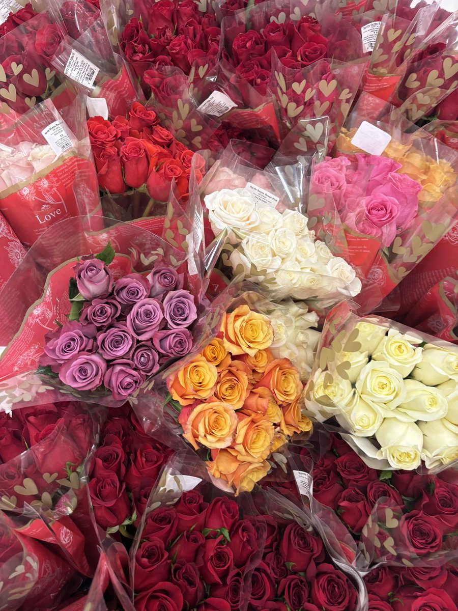 got valentine’s day and midterms on my mind