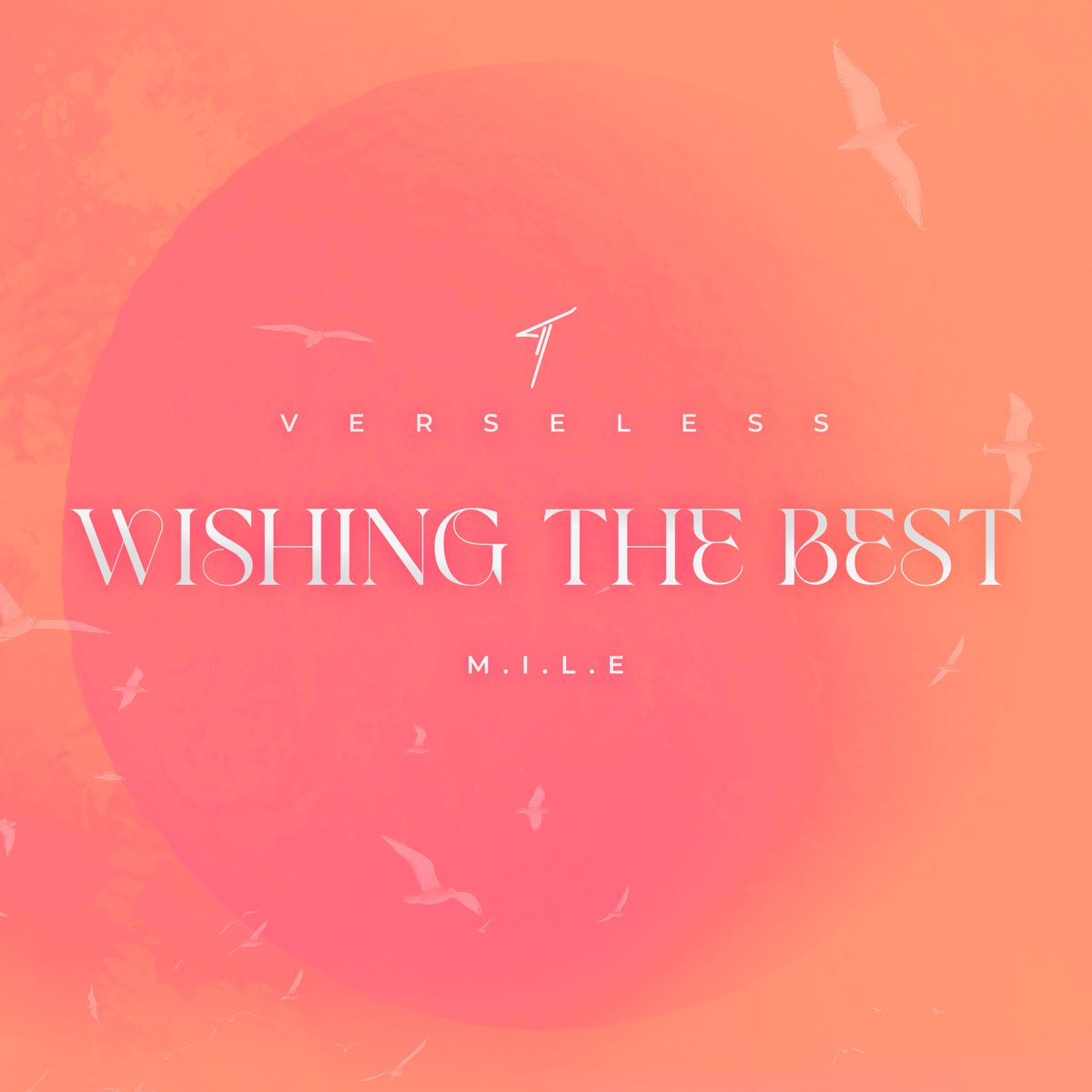 verseless1's tweet image. 2023 showed me that some connections are just not meant to be, despite the good intentions and even similar goals, some people are designed to take on a different path in their purpose...

Verseless - Wishing the Best feat. M.I.L.E

#scriptsandbars #southernafricaarts