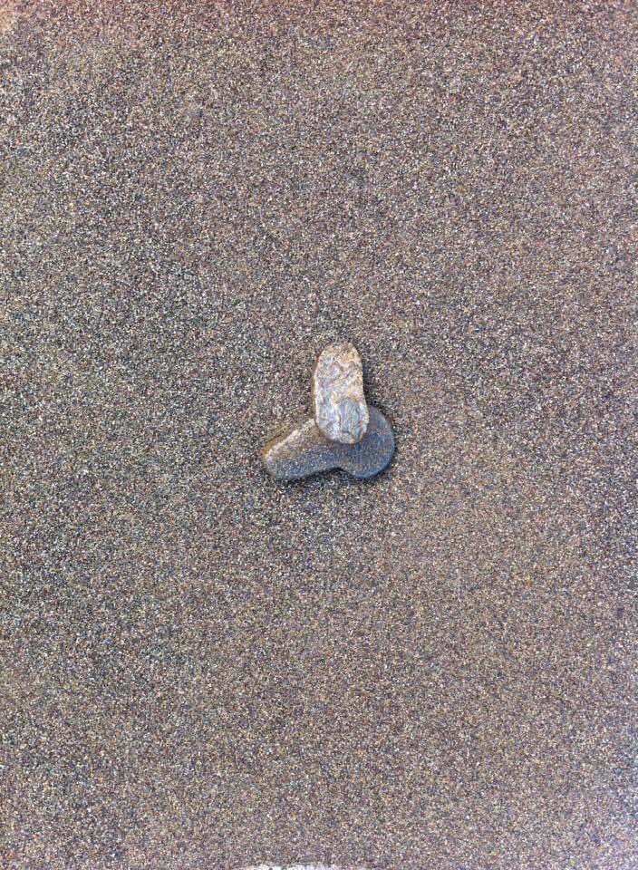 It was a very cold day on the beach! 

A little Shout out to all the incredible doctors and nurses  I know. Thank you for what you do  <a href="/Liz_ORiordan/">Dr Liz O'Riordan</a> @drmarkporter <a href="/criminographer/">Dr Emily Cooper</a> <a href="/DrSukhSDubb/">Dr Sukh The Waiting Room 💙</a> <a href="/KatrinaSheikh/">Dr Katrina</a> <a href="/Dr_Rach__/">Rachel 🇺🇦 🇵🇸</a>  <a href="/Doctor_Monah/">Monah</a> <a href="/seamusmcaleer/">Seamus McAleer</a> <a href="/Testiscancer/">Craig Nichols</a>  100’s more