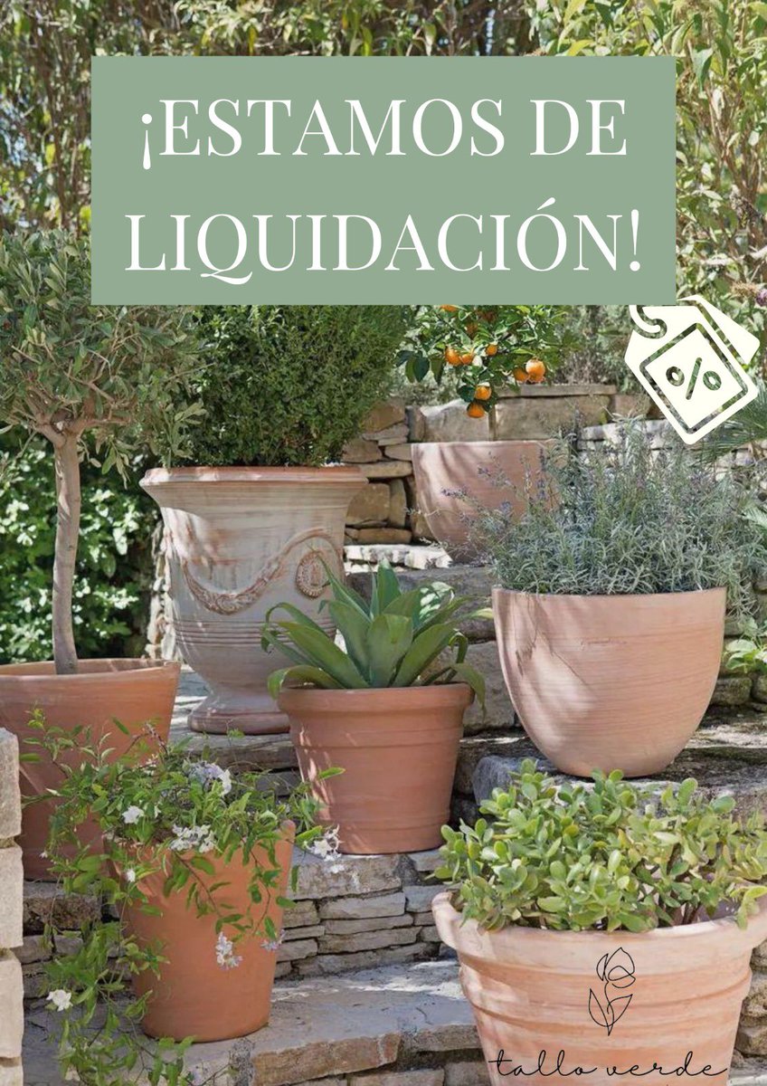 f_tallo_verde's tweet photo. LIQUIDACIÓN DE PLANTAS 💥🪴
Nuestras plantas de siempre a precios de nunca.
Puedes conseguir tus plantas favoritas hasta con un 50% de descuento durante hoy y mañana.
#Floristería #TalloVerde #Córdoba https://t.co/xJxhw1Dp4e