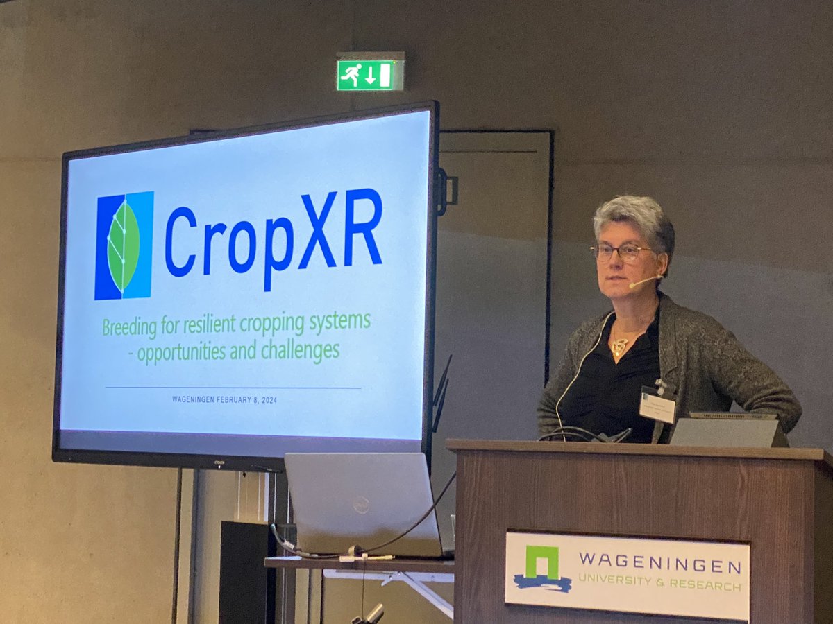 Breeding for resilient cropping systems. A @cropxr workshop at @WUR with ~100 participants.. great turn-up. Goal: identify knowledge gaps and get inspiration for research on crop resilience.