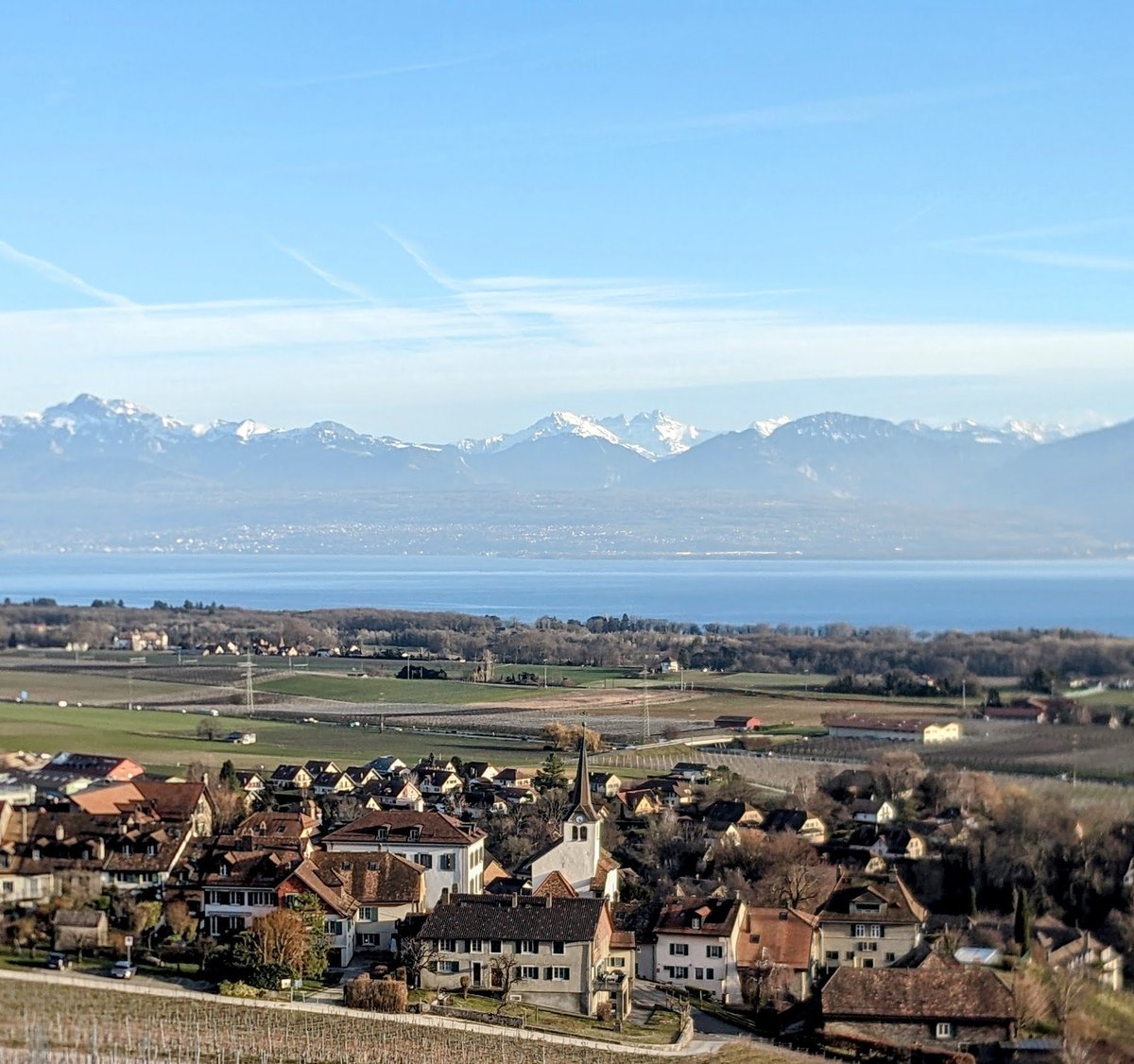 There's a lot of Bitcoiners who still don't know what Number Go Up Technology feels like.

When #Bitcoin enters price discovery mode your net worth will teleport to levels that once seemed like fantasy.

You may think you enjoyed the +94% gains over the past year... 

But