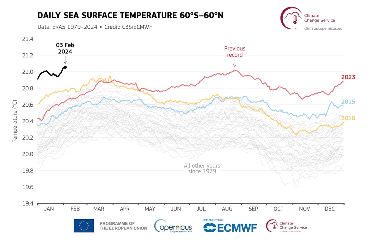 Maxime Combes tweet media