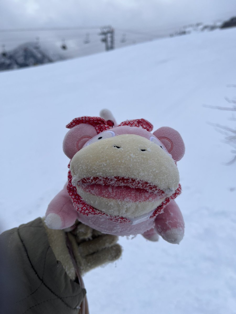 mlwmlwcat's tweet photo. 歷經疫情四年未滑終於回到第一次滑雪啟蒙地苗場，在當初初學難以到達的和田小屋用餐太幸福惹😝 https://t.co/IfI77wA1Zz
