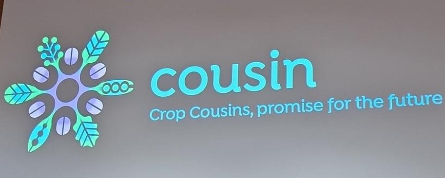 DiegoRubiales_'s tweet photo. #cousin @HorizonEU project @AgroBioDiv covers activities on use of #CWR Pisum spp in  #pea breeding 

@urjc  @ChristianSchob @IAS_CSIC #lovepulses #internationalpulseday #añointernacionalegumbres #legumes #legumbres #guisante https://t.co/LNaUTDNqfH
