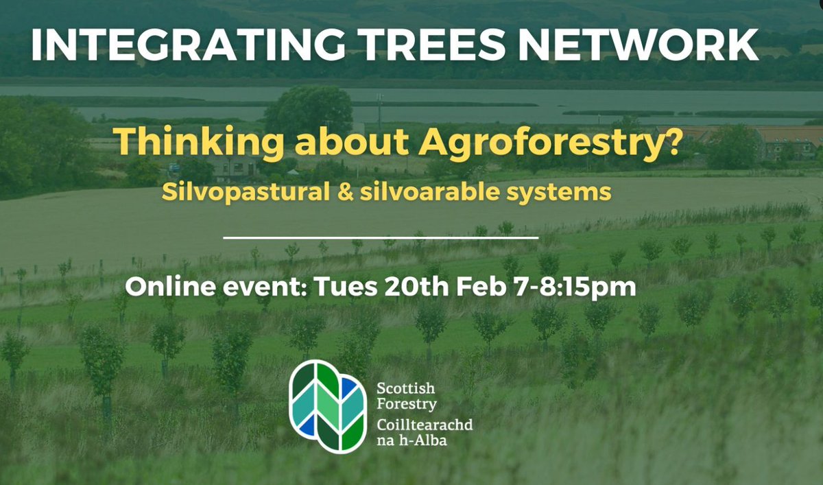 Thinking about #agroforestry? The Integrating Trees Network is hosting an online event with agroforestry experts Stephen Briggs and Roger Howison about the basics of agroforestry systems. #event #farming #forestry 🌳All welcome!🌳 ▶️tickettailor.com/events/integra…