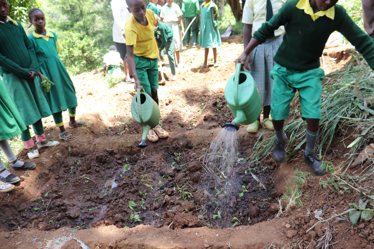 Patricia kombo tweet media