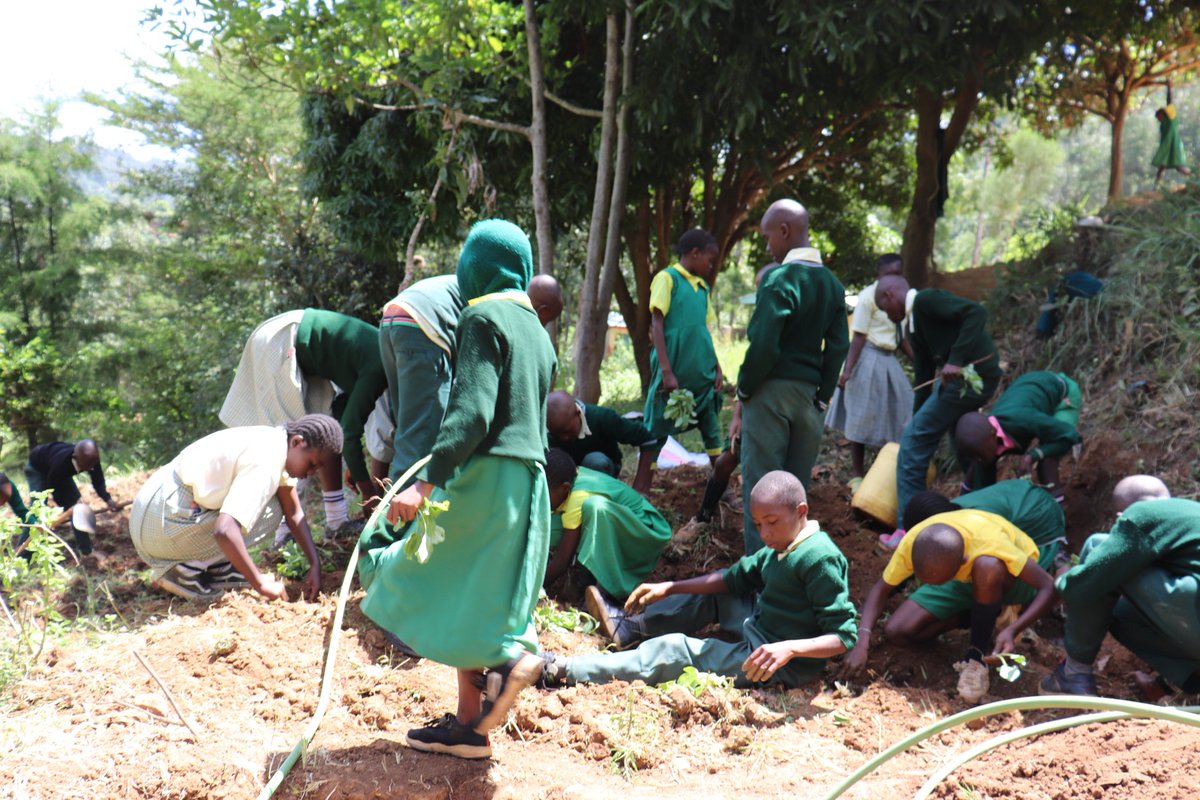 Patricia kombo tweet media