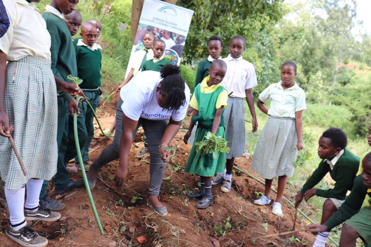 Patricia kombo tweet media