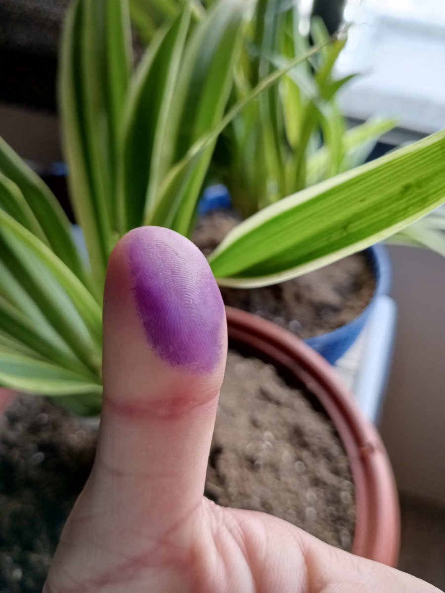 I have voted - Have you? #Vote #GE2024 #Election2024pakistan #Elections2024 #Elections2024Pakistan