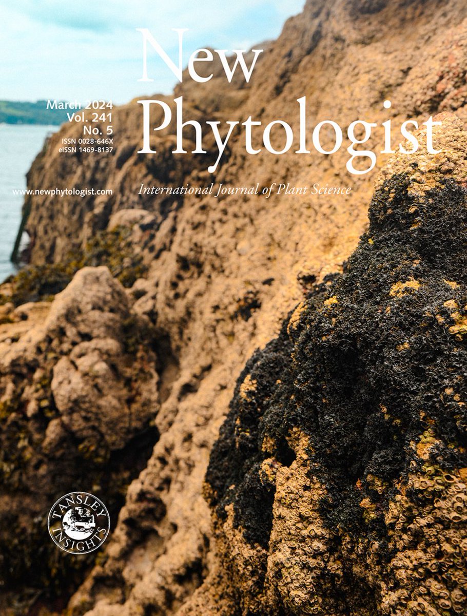 Michael Cunliffe 🏳️🌈 (@sea_bugs) on Twitter photo The marine lichen Lichina pygmaea made the front cover of <a href="/NewPhyt/">New Phytologist</a> with our study on symbiotic carbon exchange nph.onlinelibrary.wiley.com/doi/10.1111/np… Thanks to <a href="/symbiodeme/">Martin Grube</a> and Raffaella Balestrini for their insightful commentary on our work nph.onlinelibrary.wiley.com/doi/10.1111/np… <a href="/thembauk/">MBA - Marine Biological Association</a> <a href="/ERC_Research/">European Research Council (ERC)</a> The marine lichen Lichina pygmaea made the front cover of <a href="/NewPhyt/">New Phytologist</a> with our study on symbiotic carbon exchange nph.onlinelibrary.wiley.com/doi/10.1111/np… Thanks to <a href="/symbiodeme/">Martin Grube</a> and Raffaella Balestrini for their insightful commentary on our work nph.onlinelibrary.wiley.com/doi/10.1111/np… <a href="/thembauk/">MBA - Marine Biological Association</a> <a href="/ERC_Research/">European Research Council (ERC)</a>