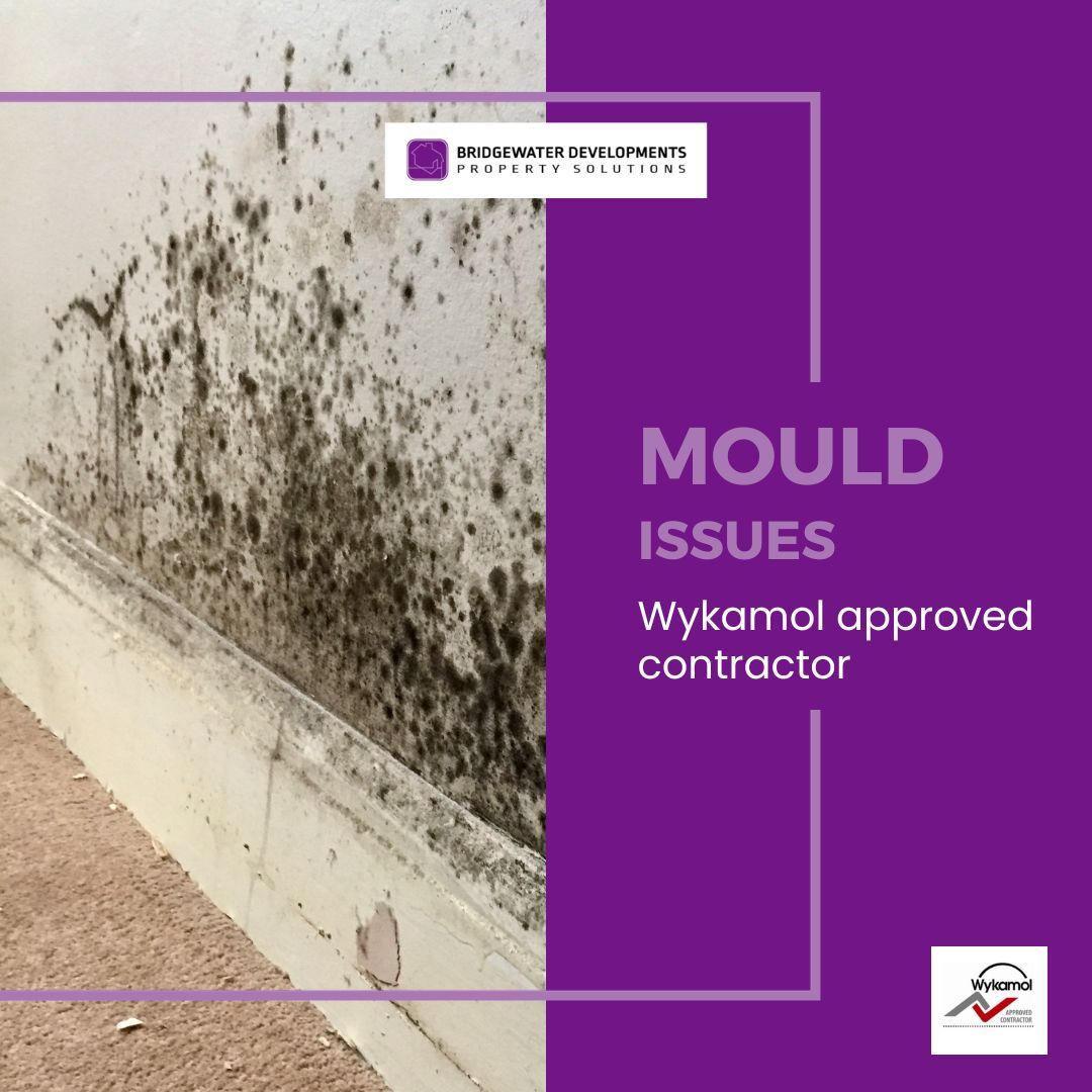 bridgewaterdev's tweet image. #MOULDPROBLEMS 
You can trust Bridgewater Developments to carry out:

✔️ Pre- visit to ascertain the cause of damp
✔️ Submit detailed recommended treatments
✔️ Full itemised Quotation of works
✔️ Use the UK`s leading supplier WYKAMOL
CALL 07901 916530 to discuss your requirements