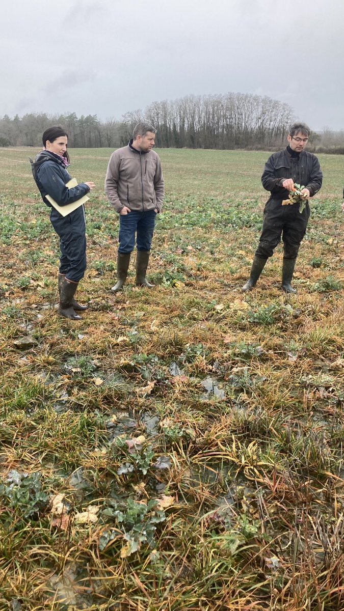 Olivier COSTE tweet media